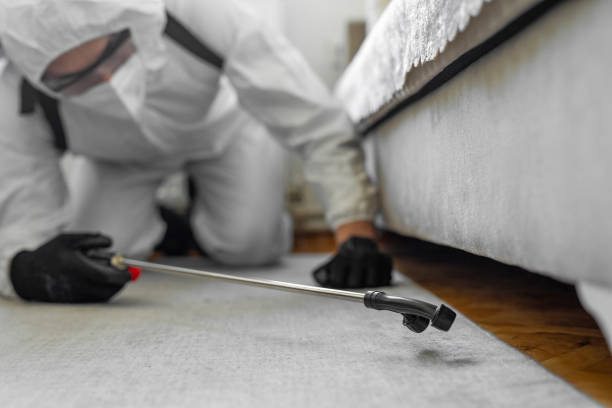 Professional Termite Control technician working in Delft Colony, CA